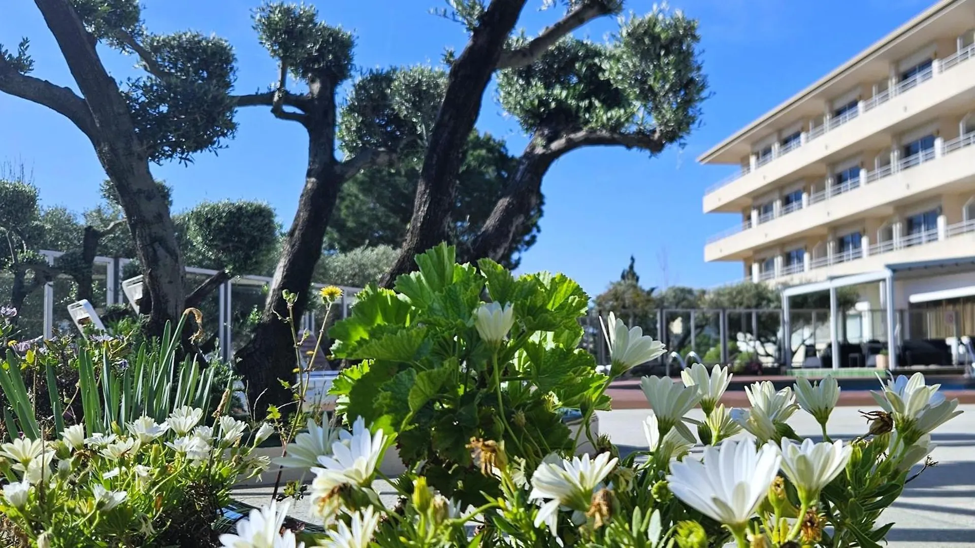 Apartamentos La Masia L'Estartit Apartment